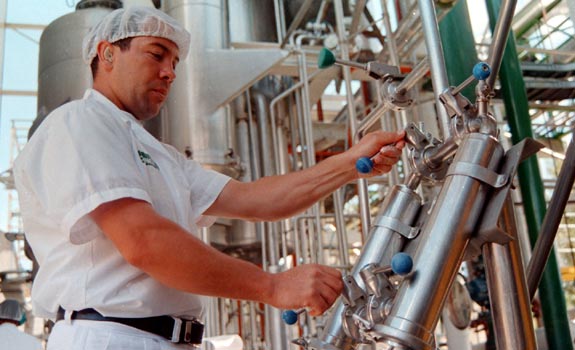 Desde 2012 el precio base de la leche que se les paga a los productores se define en la primera quincena de marzo. FOTO CORTESÍA