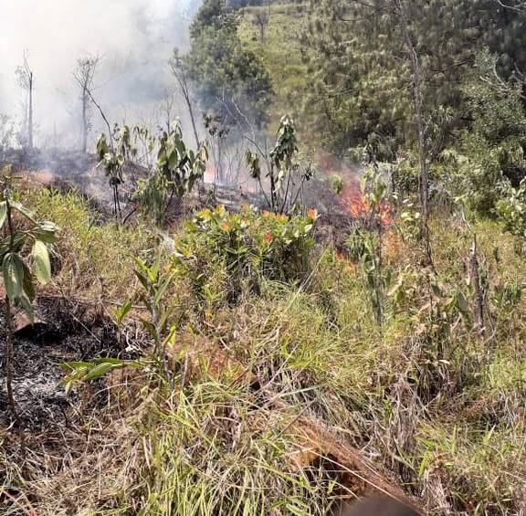 No hay viviendas en la zona cercana al incendio. FOTO: CORTESÍA DAGRD.