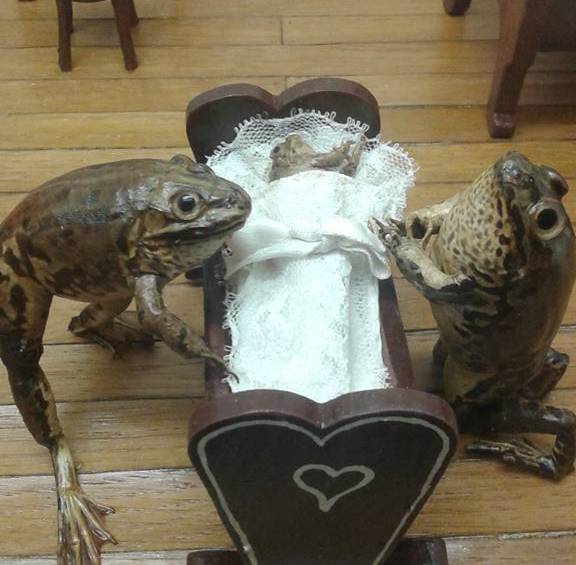 Froggyland, el curioso museo de las ranas