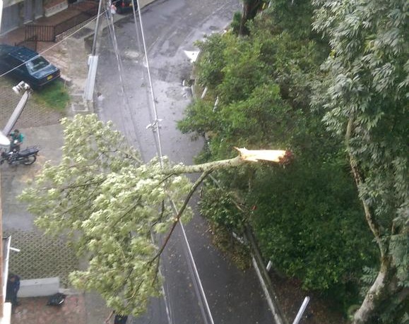 Caída de rama dejó sin luz a un sector de Itagüí. CORTESÍA Germán Eduardo Plata ‏@GERMAN_PLATA