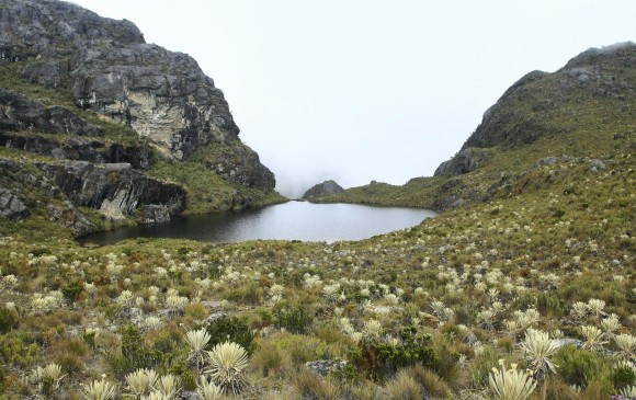 Páramo de Santurbán. FOTO Colprensa