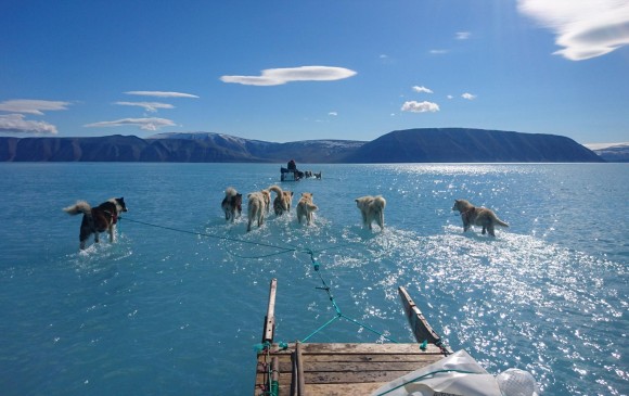 A través de esta imagen se hizo viral los efectos del deshielo global. En la foto se ve un trineo tirado por perros a través sobre el agua durante una expedición por Groenlandia. Foto: Steffen Olsen / AFP