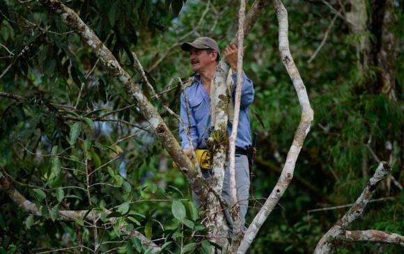 Álvarez Cartagena había desaparecido a comienzos de la semana pasada cuando construía un puente en el parque natural Las Orquídeas en Frontino. FOTO Cortesía