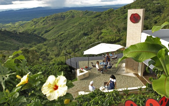 San Alberto produce café de las variedades Caturra, Castillo y un poco de Geisha, considerado el grano más fino del mundo. FOTO CORTESÍA SAN ALBERTO