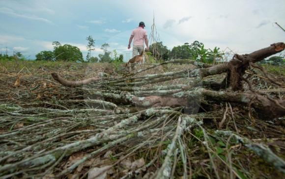 Sustituir cultivos de coca pone en riesgo a quienes están a favor de este proceso, expresan los líderes. FOTO Manuel Saldarriaga