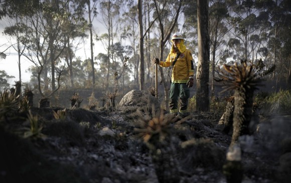 La temporada seca en Colombia se prologará hasta marzo, según el Ideam, y aumentan las probabilidades de incendios (imagen ilustrativa). FOTO: Colprensa