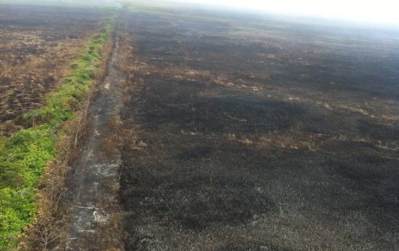 El incendio consumió 4.000 hectáreas y afectó 120 especies entre flora y fauna. FOTO CORTESÍA