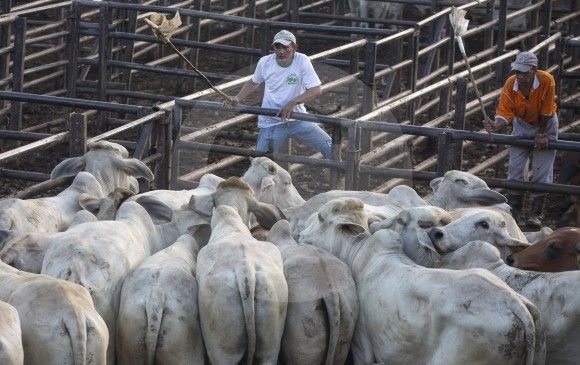 El cronograma está presupuestado que empiece a ejecutarse en mayo de este año y tendrá una duración de 45 días. FOTO MANUEL SALDARRIAGA