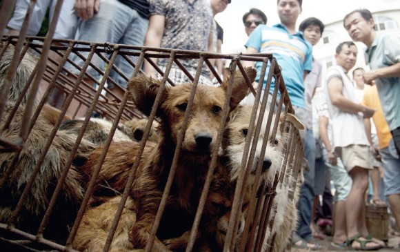 Desde 2014, el gobierno local ha tratado de desvincularse del tema, aunque le ha prohibido a sus empleados que asistan y ha limitado el tamaño del festival. FOTO AP