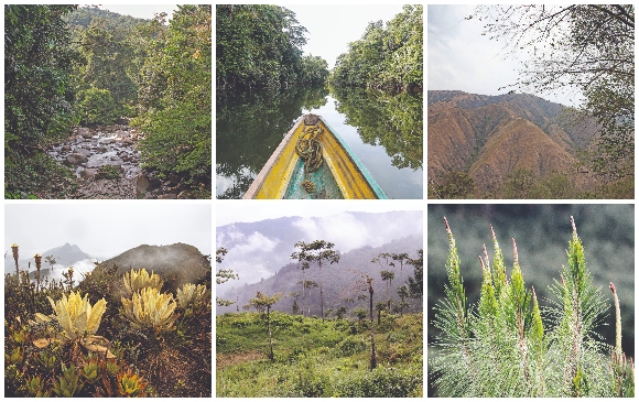 En tan solo el 6 % del territorio colombiano, Antioquia es el hogar del 33 % de la diversidad de especies conocidas en el país. FOTOS EL COLOMBIANO