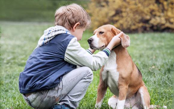 Algunos pasos para saber si su veterinario es el adecuado es saber si ha sido sancionado o conocer su matrícula profesional. Foto: Colprensa