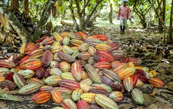 La agroindustria antioqueña busca conquistar más países. FOTO JUAN ANTONIO SÁNCHEZ