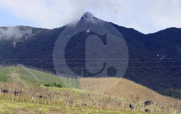 Según los denunciantes, en el páramo de Sonsón hay cada vez más empresas pidiendo licencias para la explotación del suelo, dejando de lado la siembra campesina. FOTO róbinson sáenz
