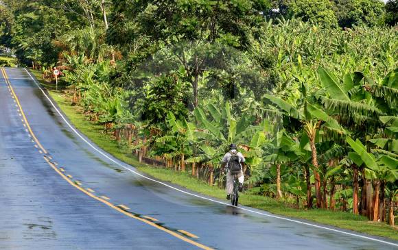 Urabá, conocida como zona bananera de Antioquia, sufrió el conflicto de las guerrillas y los paramilitares. Ahora las autoridades investigan la participación de empresarios. FOTO Juan Antonio Sánchez