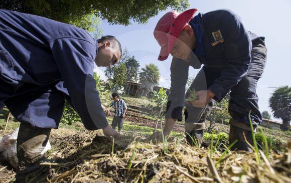 El Gobierno asegura que el proyecto no buscará expropiar el sector privado, sino ordenar la propiedad rural. FOTO jaime pérez 