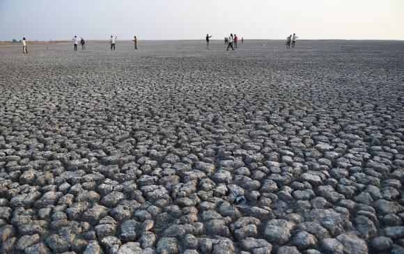 La sequía también afecta a la India, donde se secó el lago Nal Sarovar Bird Sanctuary. FOTO afp
