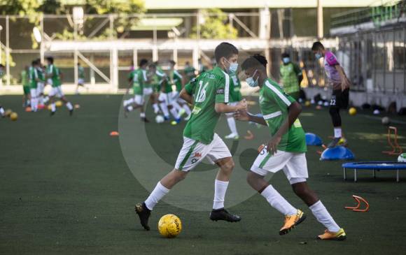 El Ministerio del Deporte y la Dimayor serán las entidades encargadas de poner en marcha el proyecto. FOTO ANDRÉS SUÁREZ