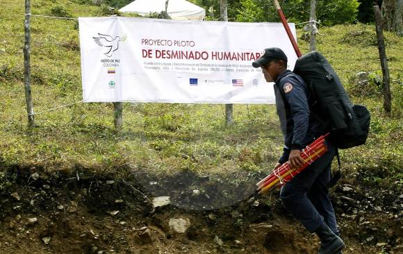 En la vereda Orejón, el Batallón de Desminado (Bides), dispuso de 42 desminadores de manera permanente para los trabajos que se requieren en esa zona del Norte de Antioquia. FOTO Jaime Pérez