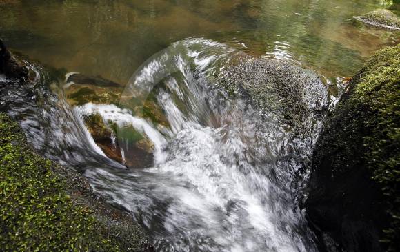 El agua es un tema común, que ignoramos las propiedades que la hacen única e importante para la vida. FOTO Jaime Pérez