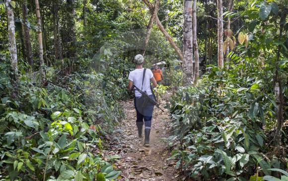 Zona veredal de Carrizal en el Municipio de Remedios, del bloque Magdalena Medio de la Farc. FOTO Jaime Pérez Munévar