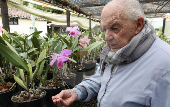 Hasta el pasado sábado don Darío Moreno regó las orquídeas que cultivaba, una de sus pasiones. FOTO róbinson Sáenz.