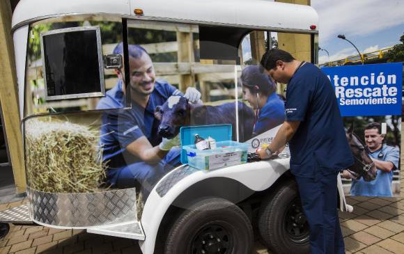La URI es un aliado para mascotas y animales en emergencia médica. FOTO julio césar herrera