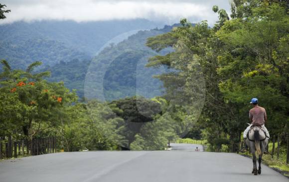 Belén de Bajirá constituye un territorio entre las 18.000 y 19.000 hectáreas, en el que abundan cultivos de palma de aceite, plátano, madera y yuca y abundante minería de cobre y oro. FOTO Esteban Vanegas
