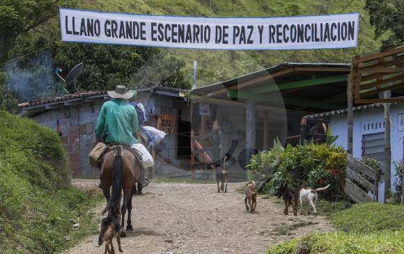 Las zonas veredales transitorias de normalización irán hasta el próximo 15 de agosto cuando salgan los contenedores con armas de las Farc. FOTO ROBINSON SÁENZ