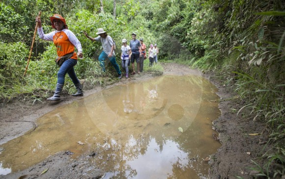 Rutas recomendadas para hacer senderismo en Antioquia