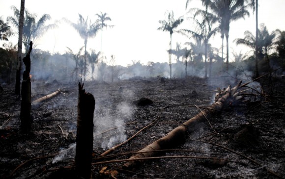 Árboles incendiados por granjeros en Iranduba, estado de Amazonas, en Brasil el pasado 20 de agosto. FOTO: REUTERS