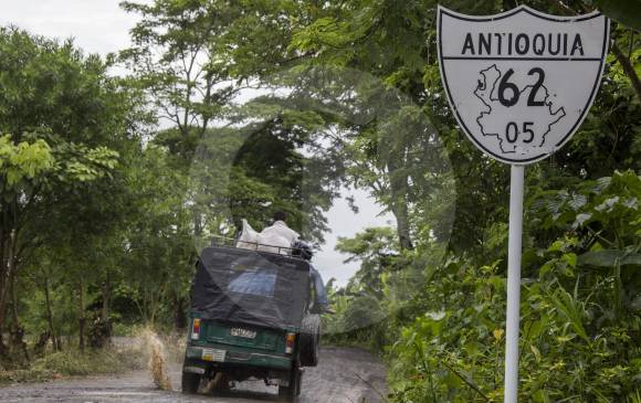 A 63 km de Riosucio (Chocó) y 43 de Mutatá, está Belén de Bajirá, de 2.500 kilómetros cuadrados. FOTO esteban vanegas