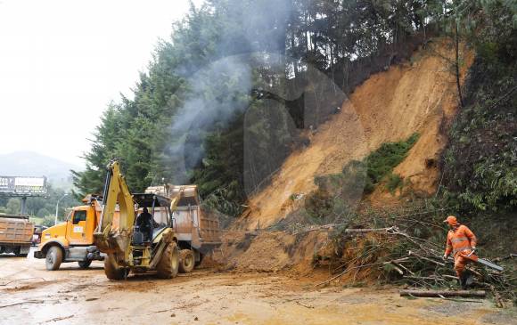 Una masa de lodo y árboles de pino se vino sobre la vía en la variante a Las Palmas hacia el aeropuerto. Hacia las 4.30 de la tarde el paso se restableció. FOTO Julio César Herrera