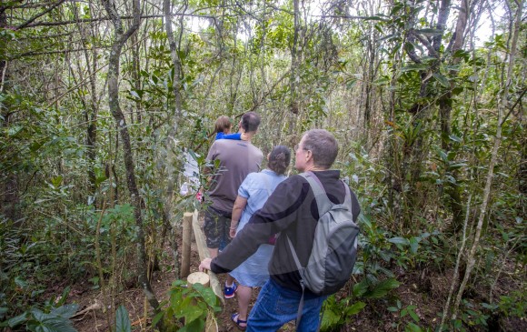 El sendero de la flora es una caminata que le muestra al turista la variedad de orquídeas que tiene Arví.