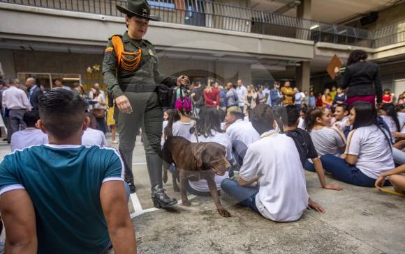 Los animales estarán acompañados por un agente de la policía, y el proceso estará custodiado, entre otros, por personal de la Policía de Infancia y Adolescencia, la Personería y el Instituto Colombiano de Bienestar Familiar. FOTO andrés camilo suárez echeverry