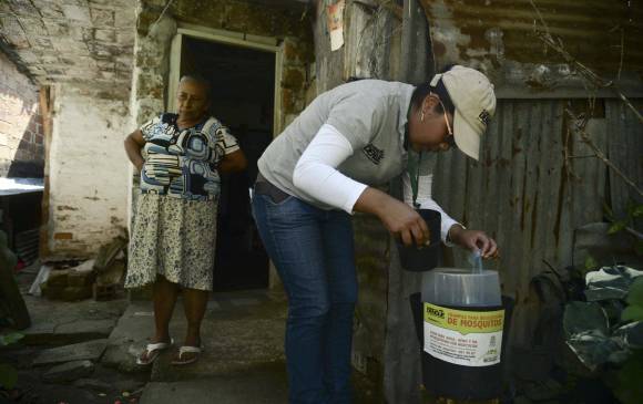 En el barrio París, del municipio de Bello, se contagiaron mosquitos Aedes aegypti con una bacteria que, en principio, impide transmitir el dengue. FOTO afp