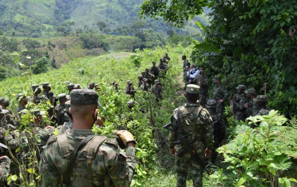 La erradicación manual de las tropas de la Séptima División se concentró en Urabá, el Norte y el Bajo Cauca antioqueño. FOTO CORTESÍA EJÉRCITO