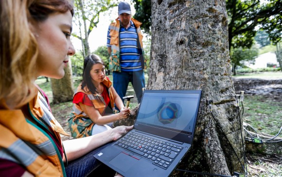 Un equipo del Jardín Botánico de Medellín lleva a cabo una tomografía con el equipo Arborsonic 3D. FOTOS JULIO CÉSAR HERRERA