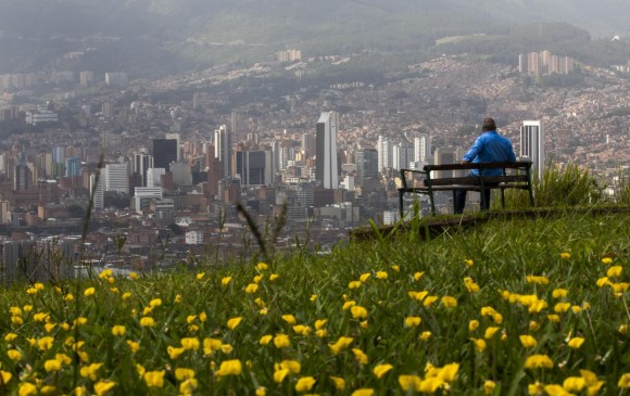 Este año, según la administración, se plantaron 105.000 árboles en la ciudad. Para 2050 Medellín tendrá más de 150 días con temperaturas superiores a 29 grados. FOTO Edwin Bustamante