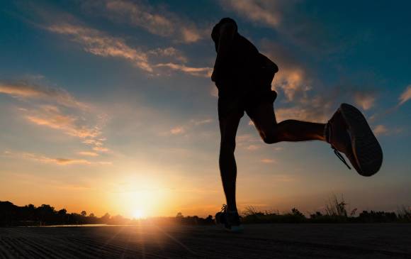 Un órgano nuevo, bacterias eléctricas, memoria para miles de rostros. FOTO SSTOCK