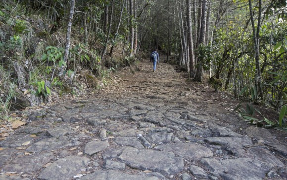 El cerro Quitasol hará parte de este corredor protegido. FOTOS Manuel saldarriaga quintero