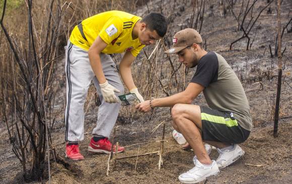 Varios de los asiduos visitantes y vecinos del cerro llegaron a hacer limpieza y a regar semillas y agua. FOTO CARLOS VELÁSQUEZ