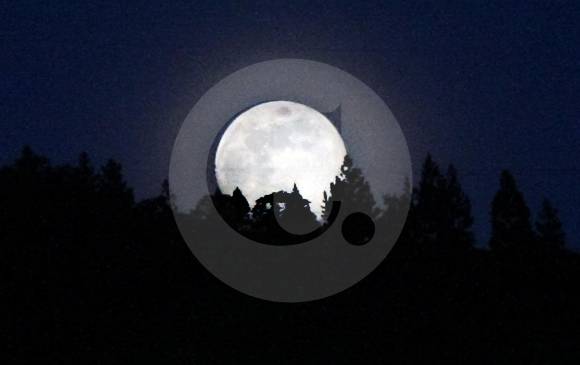 Uno de los planes para este sábado es Astronomía en la ciudad: siéntase como un experto. FOTO archivo.