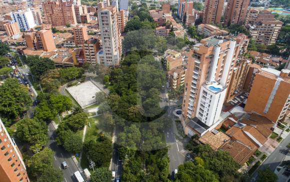 Destinar más espacios para siembras en barrios y periferias de la ciudad, generar zonas verdes y proteger los árboles existentes son los retos que tienen las autoridades ambientales. FOTO julio césar herrera