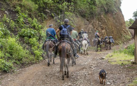 Según Luis Pérez, no se ha hecho verificación de las zonas de preagrupamiento de Farc en Antioquia. FOTO Julio césar Herrera