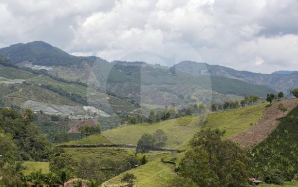 Veredas Palo Cabildo y La Soledad, en Jericó, en cercanías del proyecto Mina Quebradona en Jericó. FOTO EDWIN BUSTAMANTE