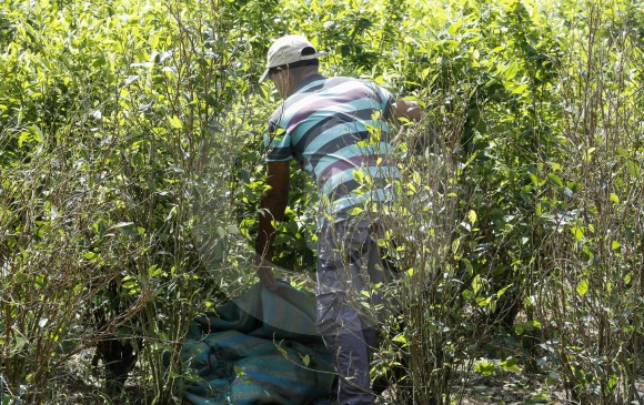 En Tumaco (foto), los cultivos de uso ilícito se encuentran cerca a la frontera con Ecuador. FOTO: Manuel Saldarriaga 