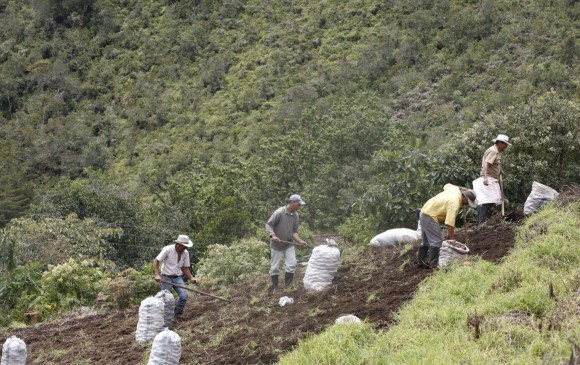 Campesinos de la vereda Las Teresas, en La Unión (Oriente antioqueño), participan del programa BanCO2. FOTO manuel saldarriaga