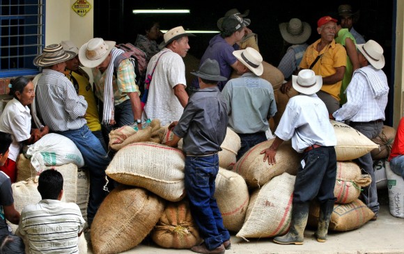 La devaluación del peso colombiano representa un alivio para las exportaciones de los cafeteros. FOTO JUAN ANTONIO SÁNCHEZ