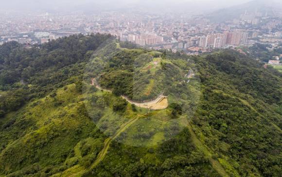 Actualmente el Área Metropolitana trabaja en la actualización del plan de manejo del cerro El Volador. FOTO Esteban Vanegas