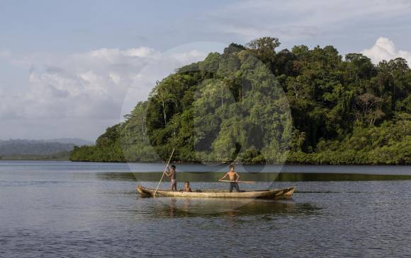 El documental Expedición Tribugá busca sensibilizar sobre este territorio, uno de los más biodiversos del planeta según la Unesco. Foto Esteban Vanegas